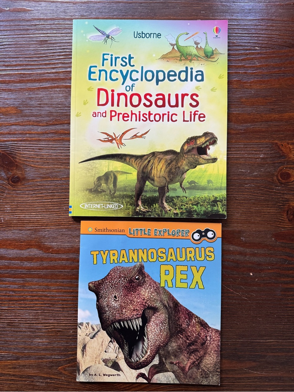 Set of 2 dinosaur children's books First Encyclopedia & Tyrannosaurus Rex